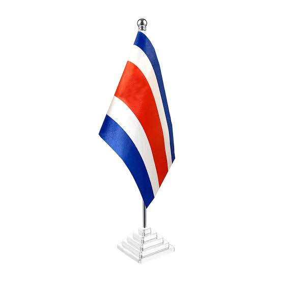 BANDERA TELA + BASE