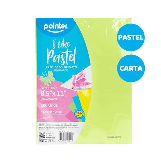 PAPEL DE COLORES PASTEL POINTER 100UDS